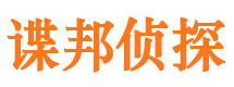 凤城侦探